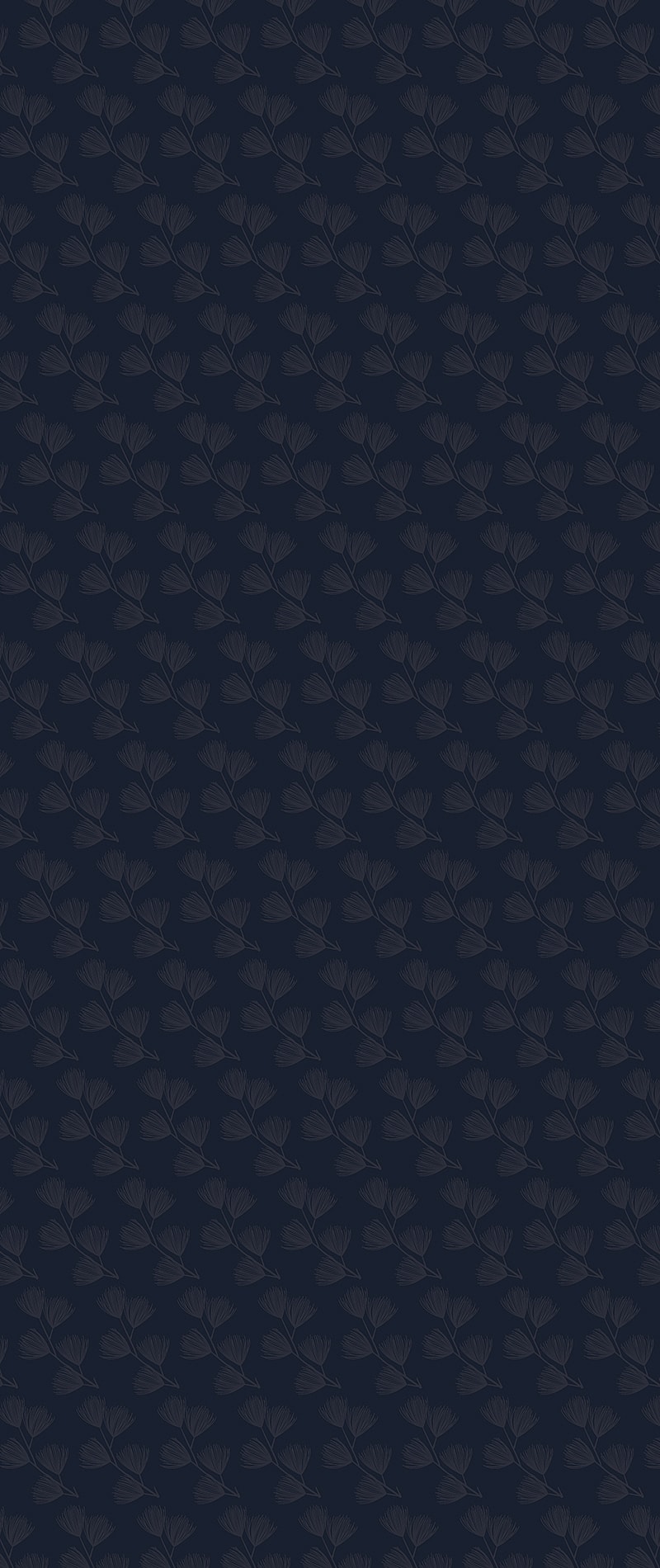 Accent Image